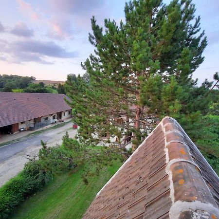 Вілла Le Refuge D'Athena Chaussy  Екстер'єр фото